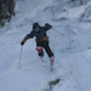 Meet your Posher, Will